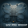 Lumenier QAV-PRO Whoop 5